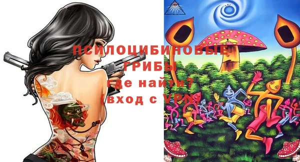 прущие крисы Коряжма