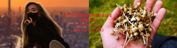 прущие крисы Коряжма