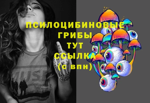 амф Корсаков