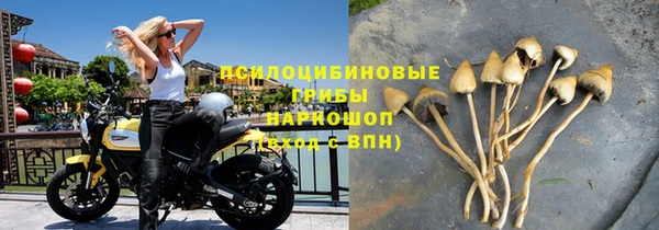амф Корсаков