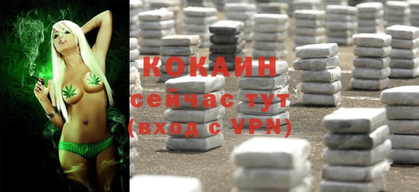 амф Корсаков
