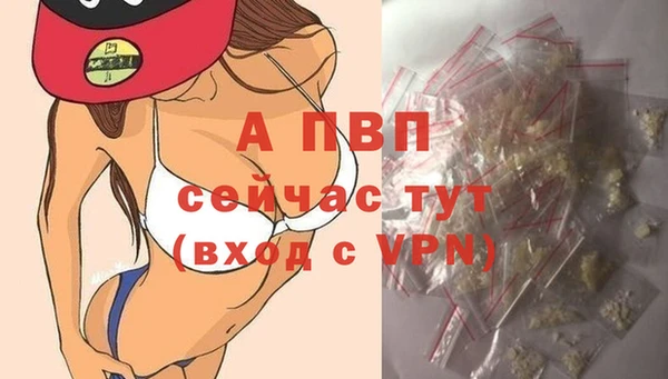 амф Корсаков