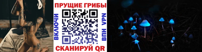 Псилоцибиновые грибы прущие грибы  Купить закладки  Армянск 